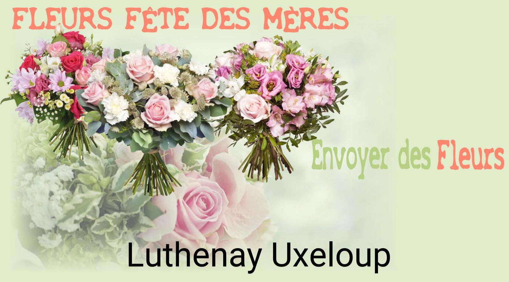 Bouquet de Fête des Mères livré à Luthenay-Uxeloup